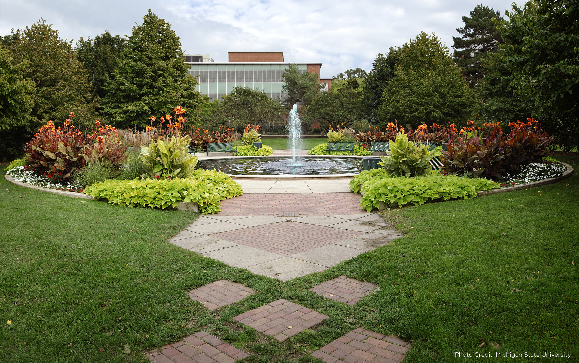 Pathway leading to a fountain on Michigan State University's campus