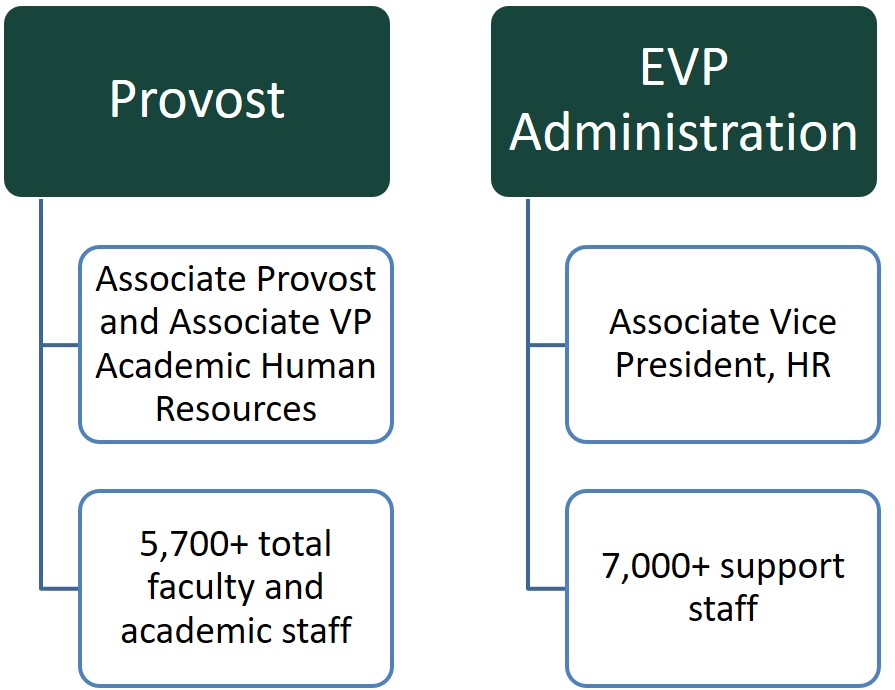 Organizational Chart Showing the Provost supervises the Associate Provost and Associate Vice President of Academic Human Resources who manages 5,700 plus total faculty and academic staff. It also shows the Executive Vice President of Administration supervises the Associate Vice President of Human Resources who manages 7,000 plus support staff. 