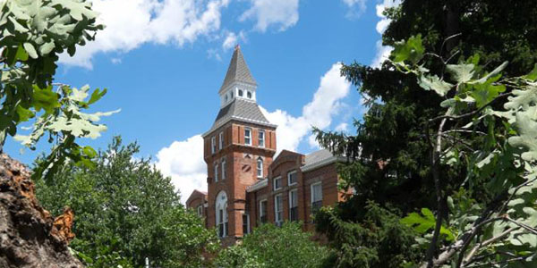 Beaumont Tower through the trees