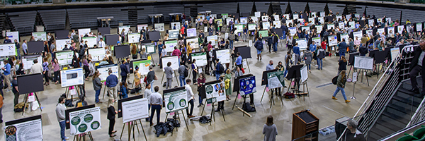 poster session with academics mingling and discussing