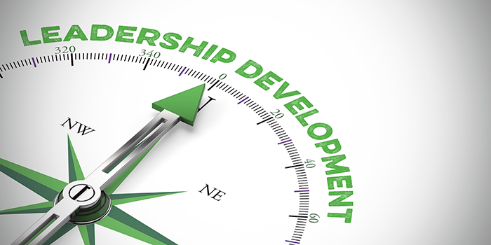 Leadership Development: What it is & How to Implement It