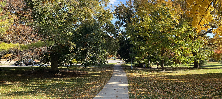 colorful leaves and trees surrounding a sidewalk