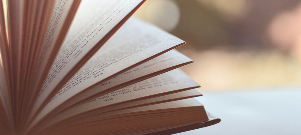 book with pages flipping open in the sunlight